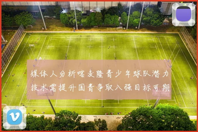 媒体人分析喀麦隆青少年球队潜力技术需提升国青争取八强目标可期